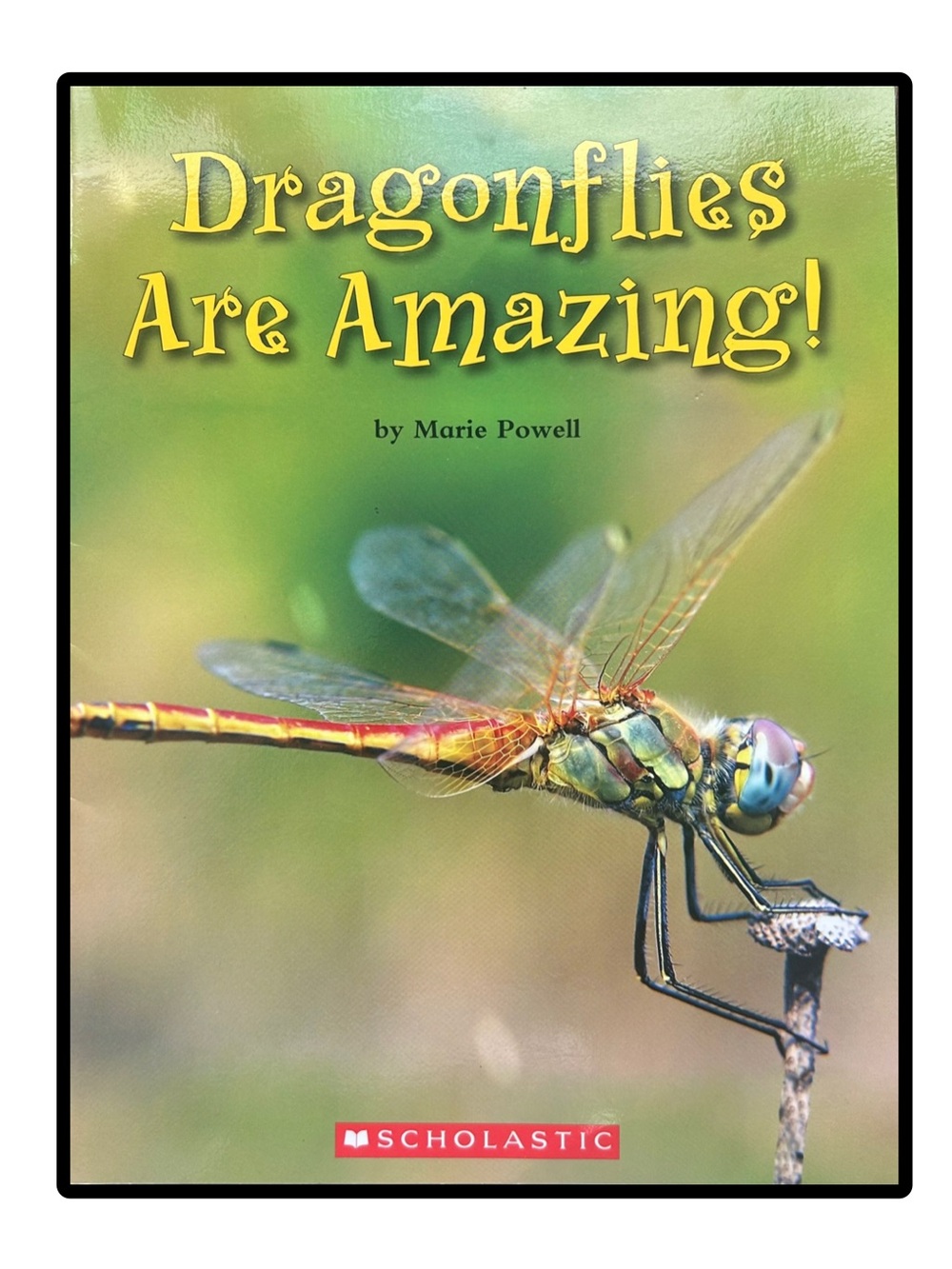 Dragonflies Are Amazing! Literacy Place Softcover